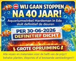 Winkel sluiting - kopie - kopie